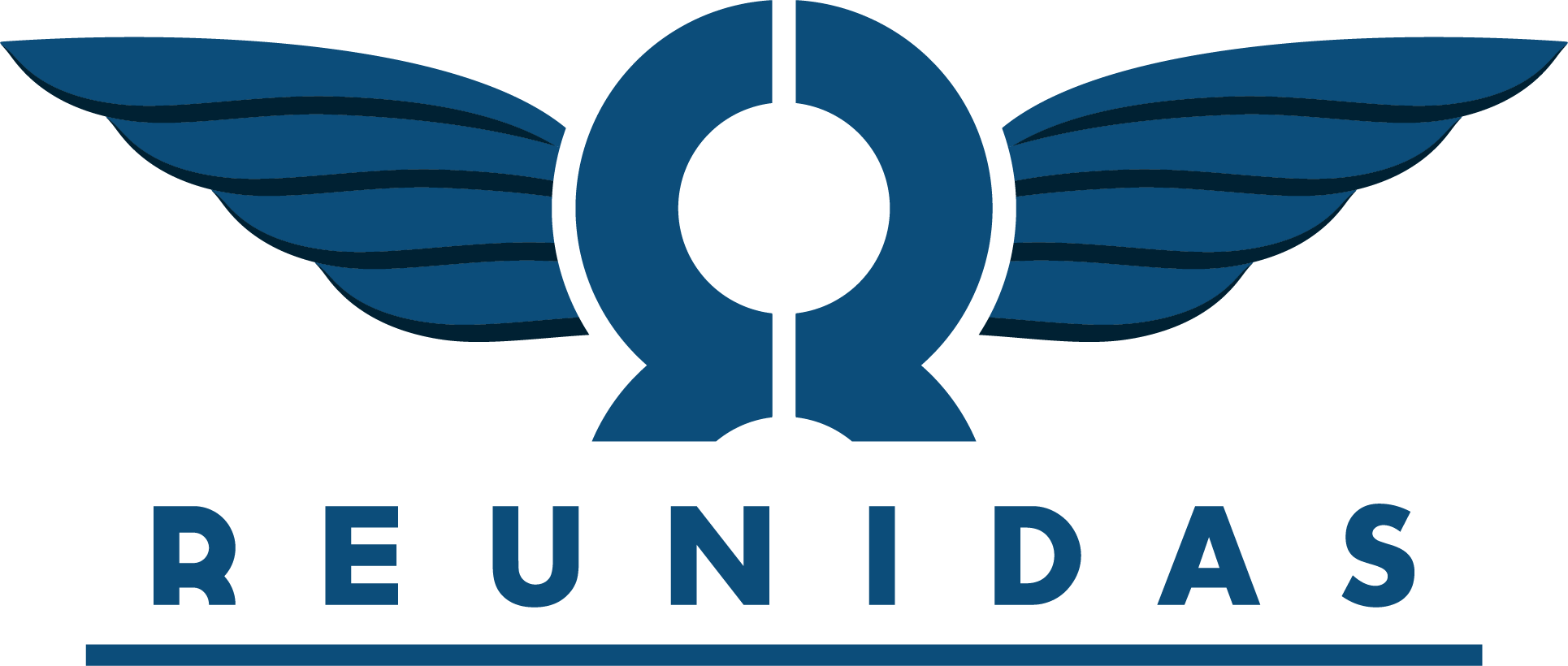 Logo REUNIDAS