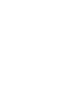 Logo do esocial