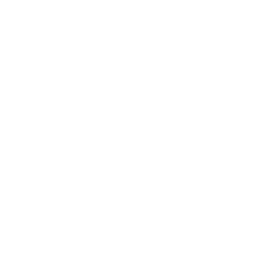 Logo do esocial