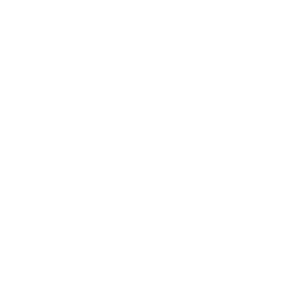 Logo do esocial